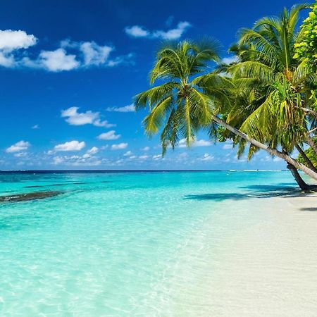 Hotel Equa Reef Maldives Addu City Zewnętrze zdjęcie