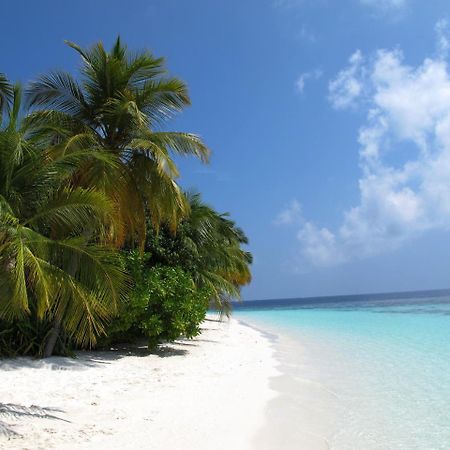 Hotel Equa Reef Maldives Addu City Zewnętrze zdjęcie