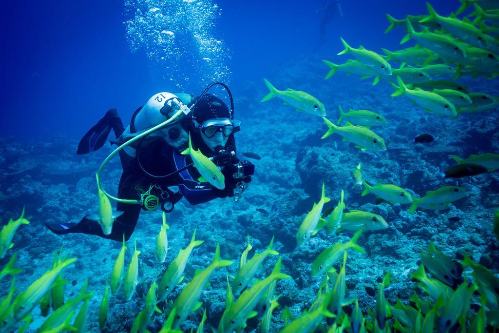 Hotel Equa Reef Maldives Addu City Zewnętrze zdjęcie