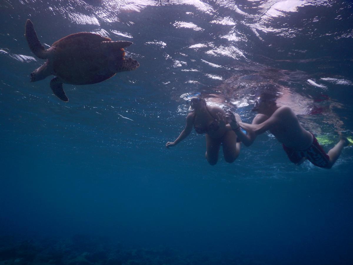 Hotel Equa Reef Maldives Addu City Zewnętrze zdjęcie