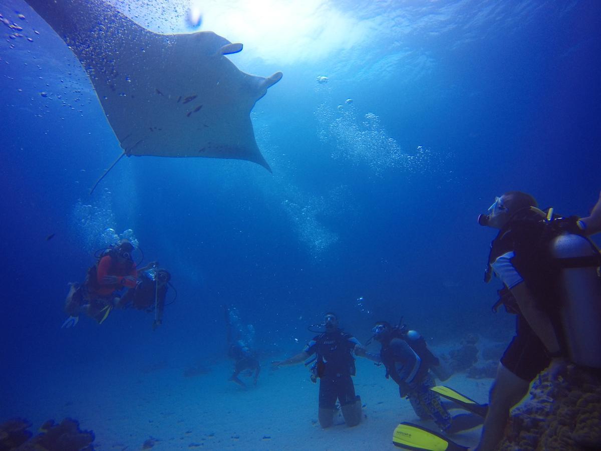 Hotel Equa Reef Maldives Addu City Zewnętrze zdjęcie