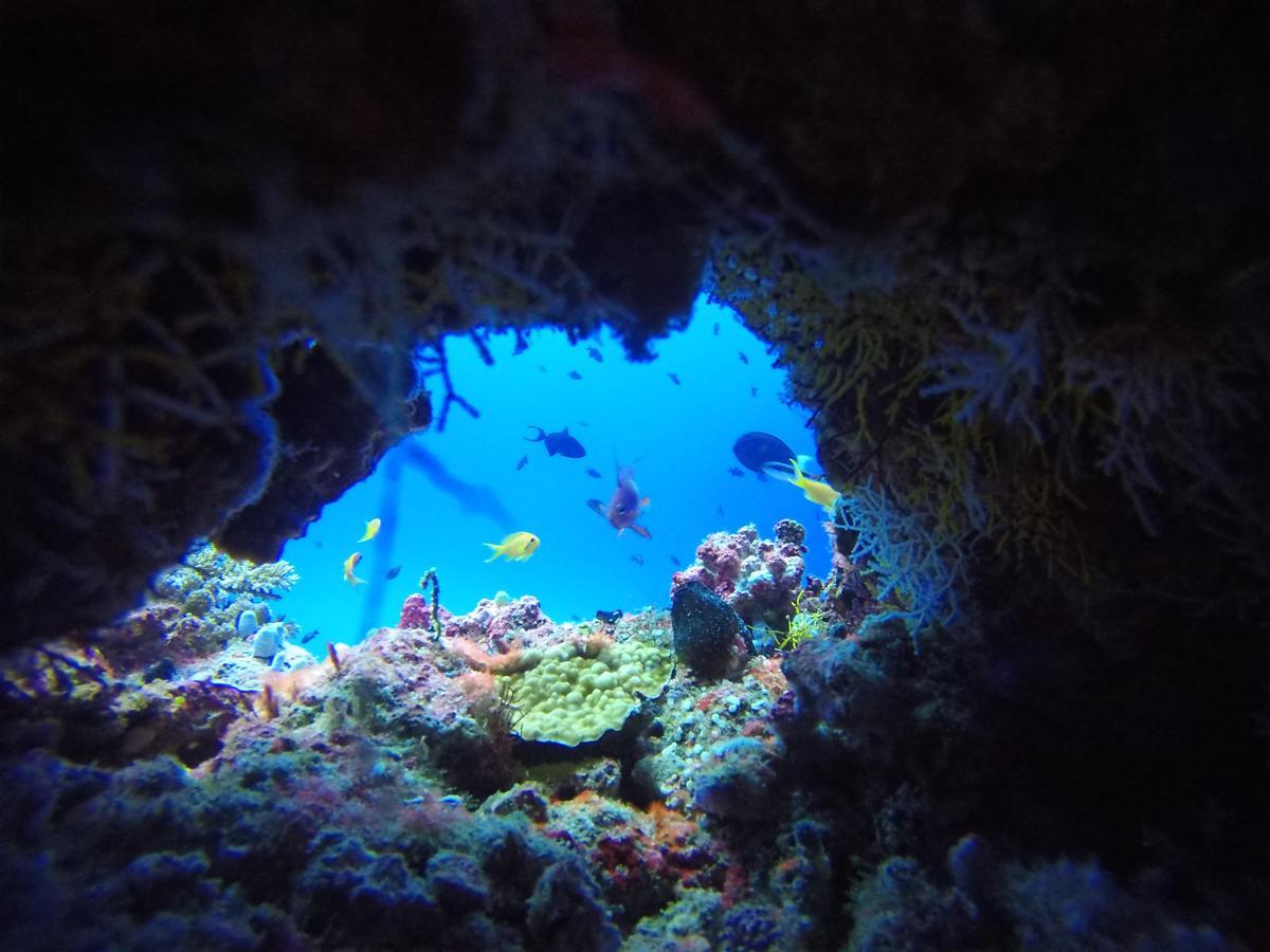 Hotel Equa Reef Maldives Addu City Zewnętrze zdjęcie