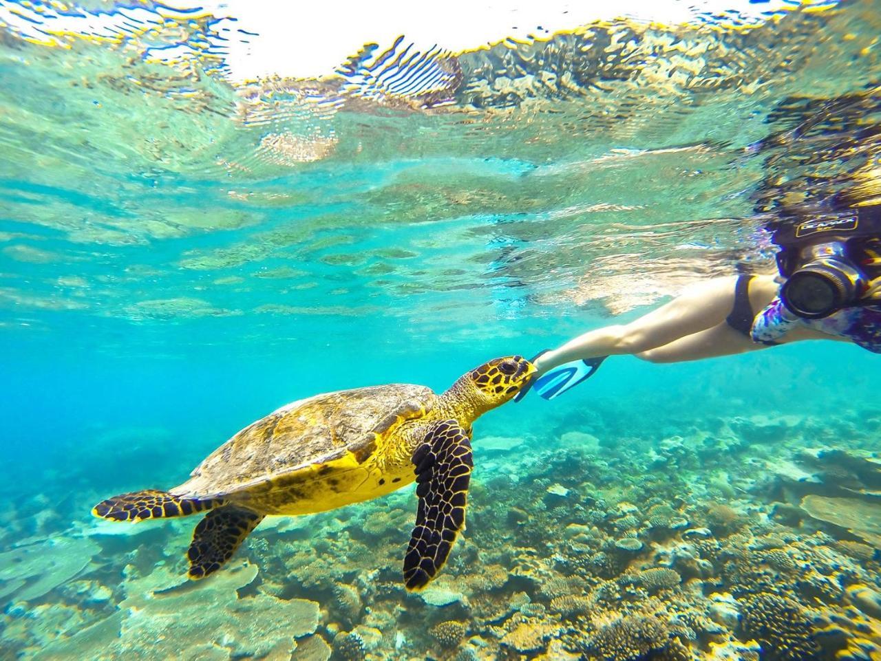 Hotel Equa Reef Maldives Addu City Zewnętrze zdjęcie
