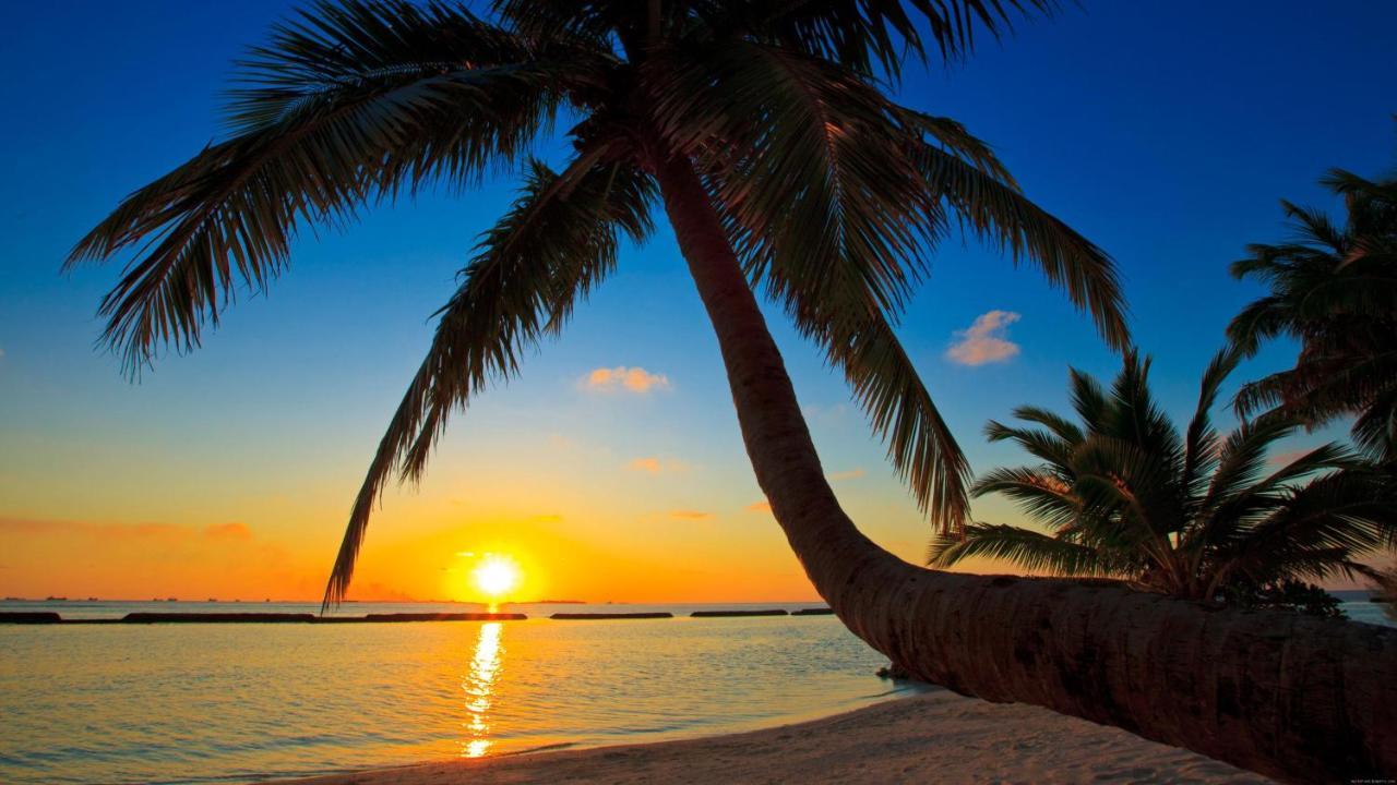 Hotel Equa Reef Maldives Addu City Zewnętrze zdjęcie