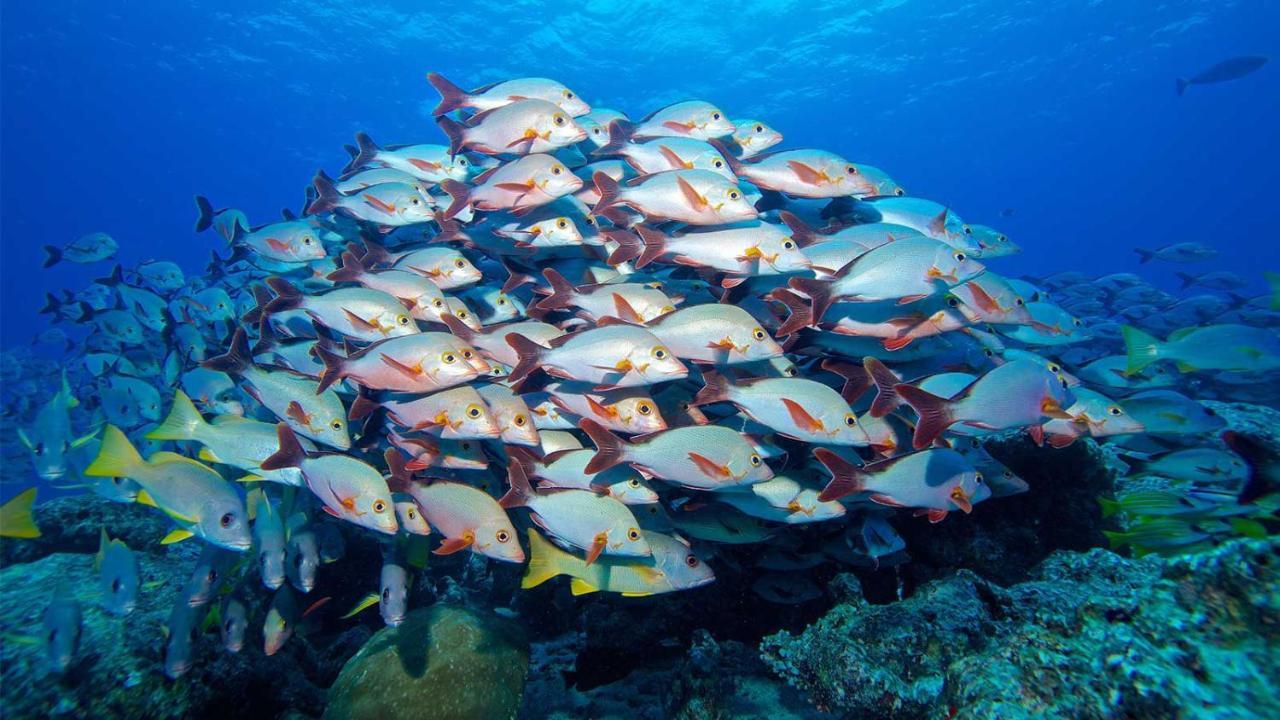 Hotel Equa Reef Maldives Addu City Zewnętrze zdjęcie