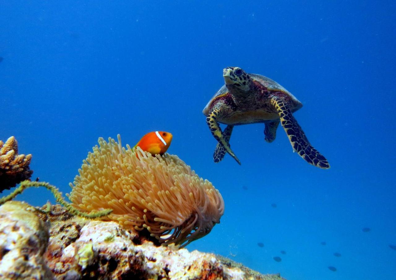 Hotel Equa Reef Maldives Addu City Zewnętrze zdjęcie