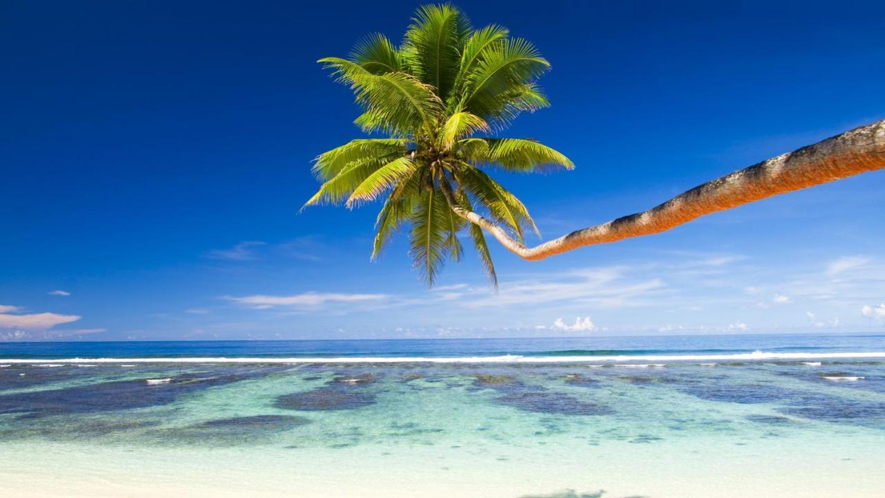 Hotel Equa Reef Maldives Addu City Zewnętrze zdjęcie