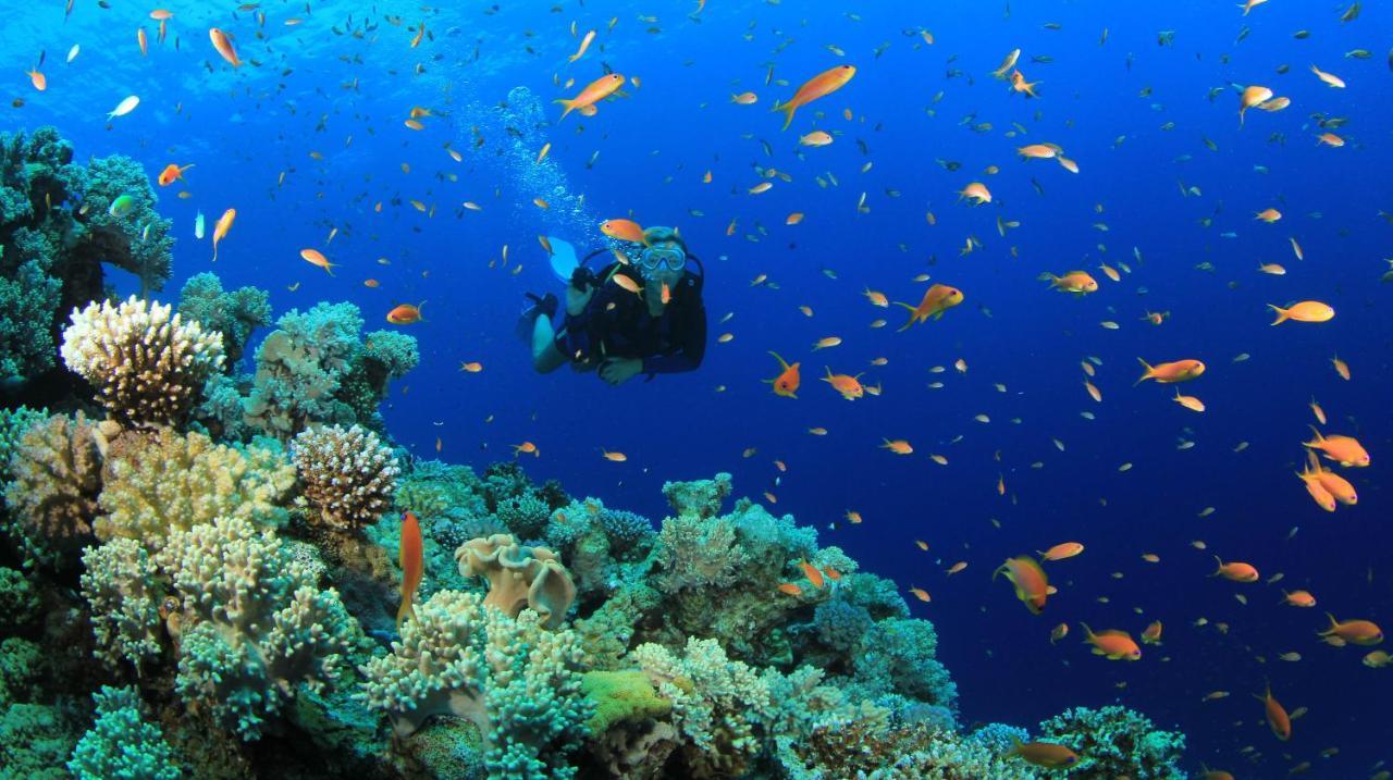 Hotel Equa Reef Maldives Addu City Zewnętrze zdjęcie