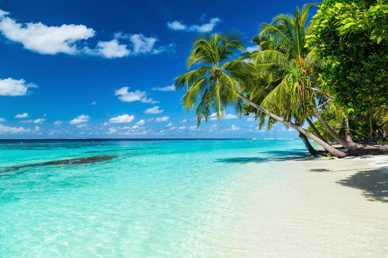 Hotel Equa Reef Maldives Addu City Zewnętrze zdjęcie